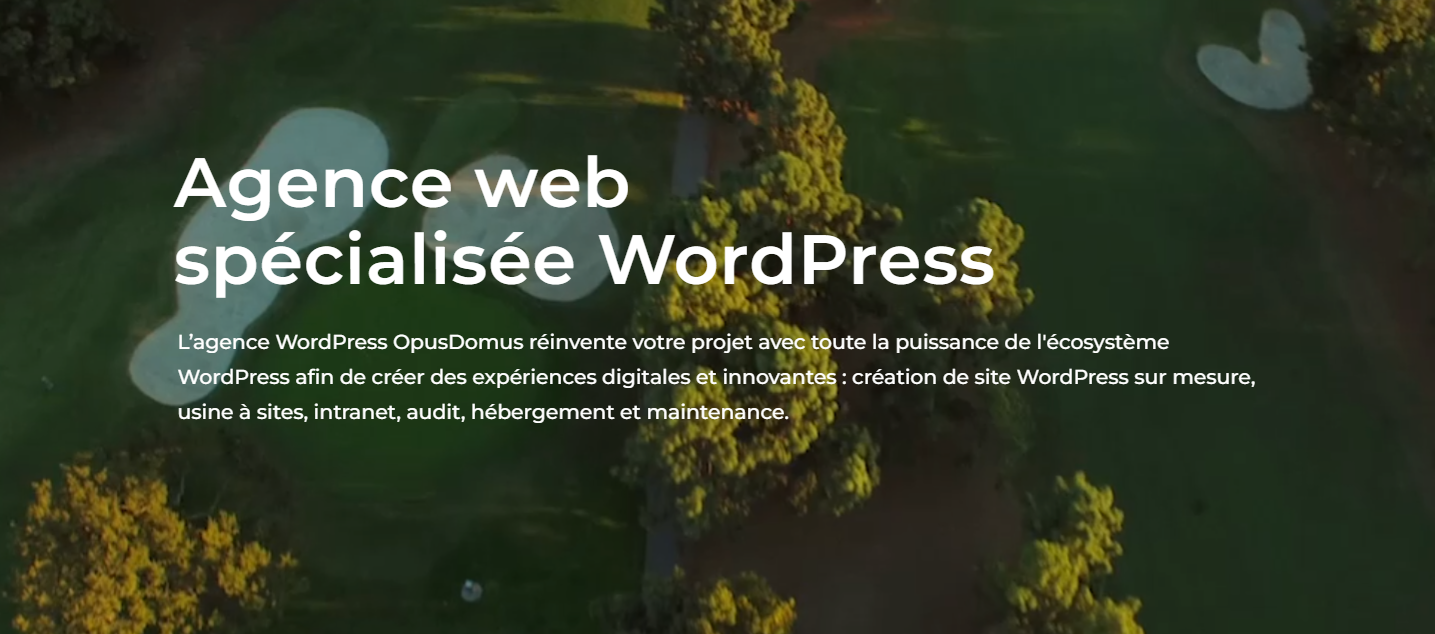 Hebergement WordPress OpusDomus